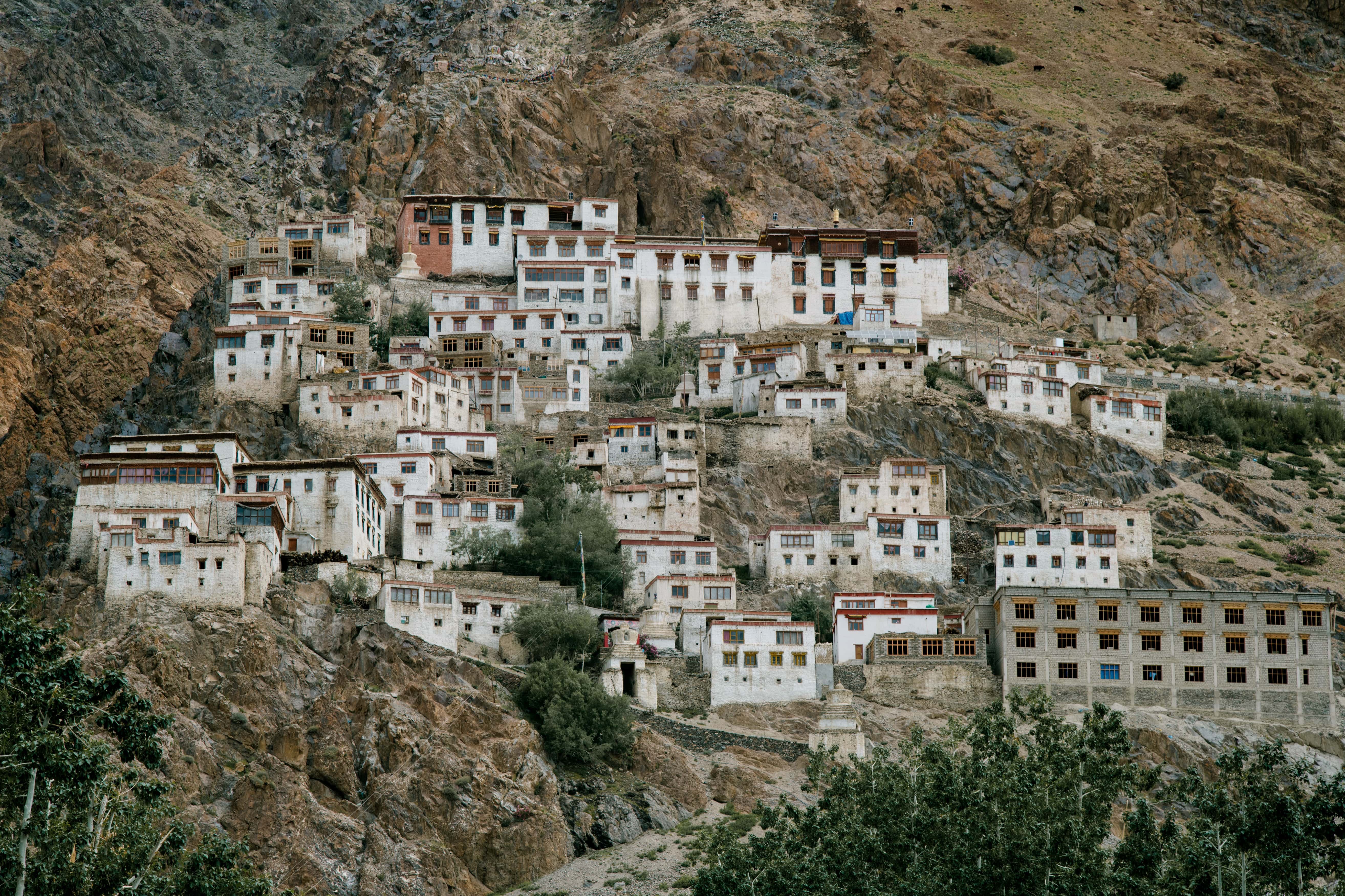 2024 Guide to Spituk Gompa, Ladakh