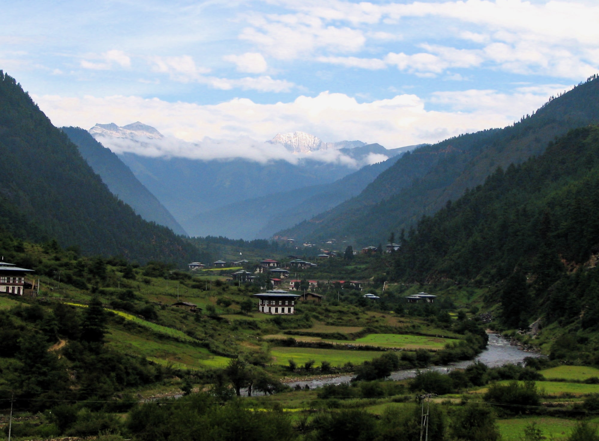 Bhutan's Valleys: A Nature Lover's Paradise