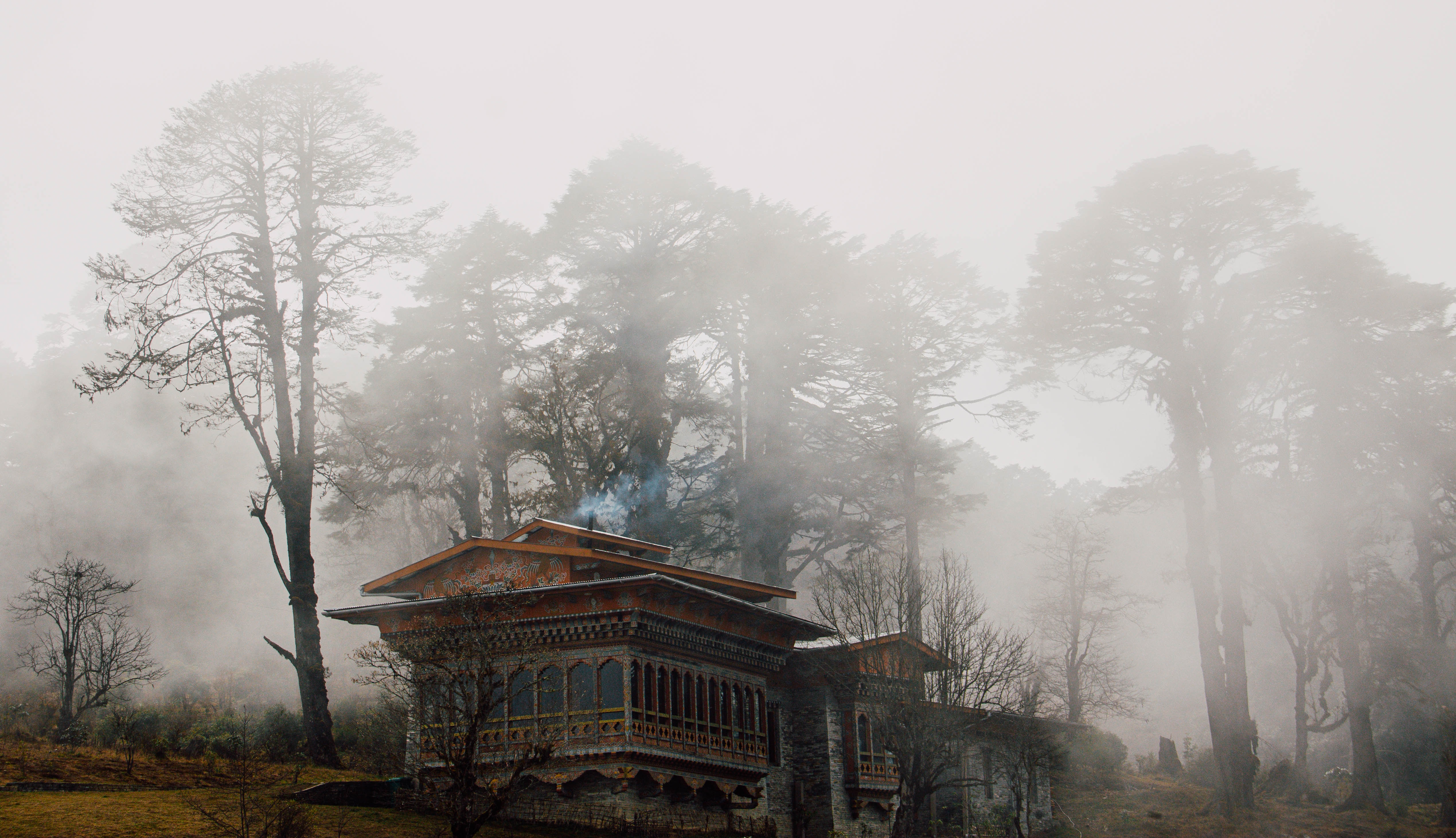 Unveiling Serenity: Bhutan in March, Land of the Thunder Dragons