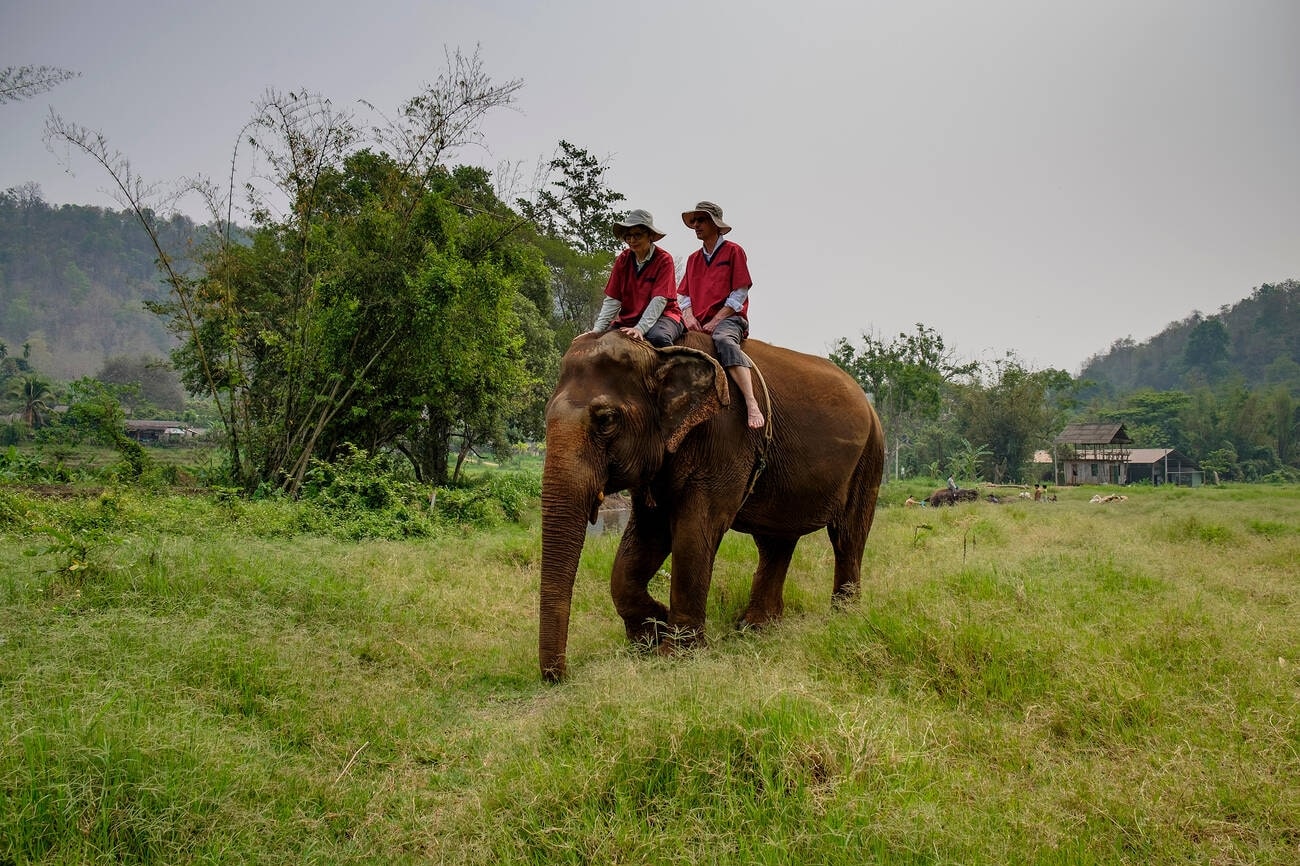 Best Places for Elephant Trekking in Thailand