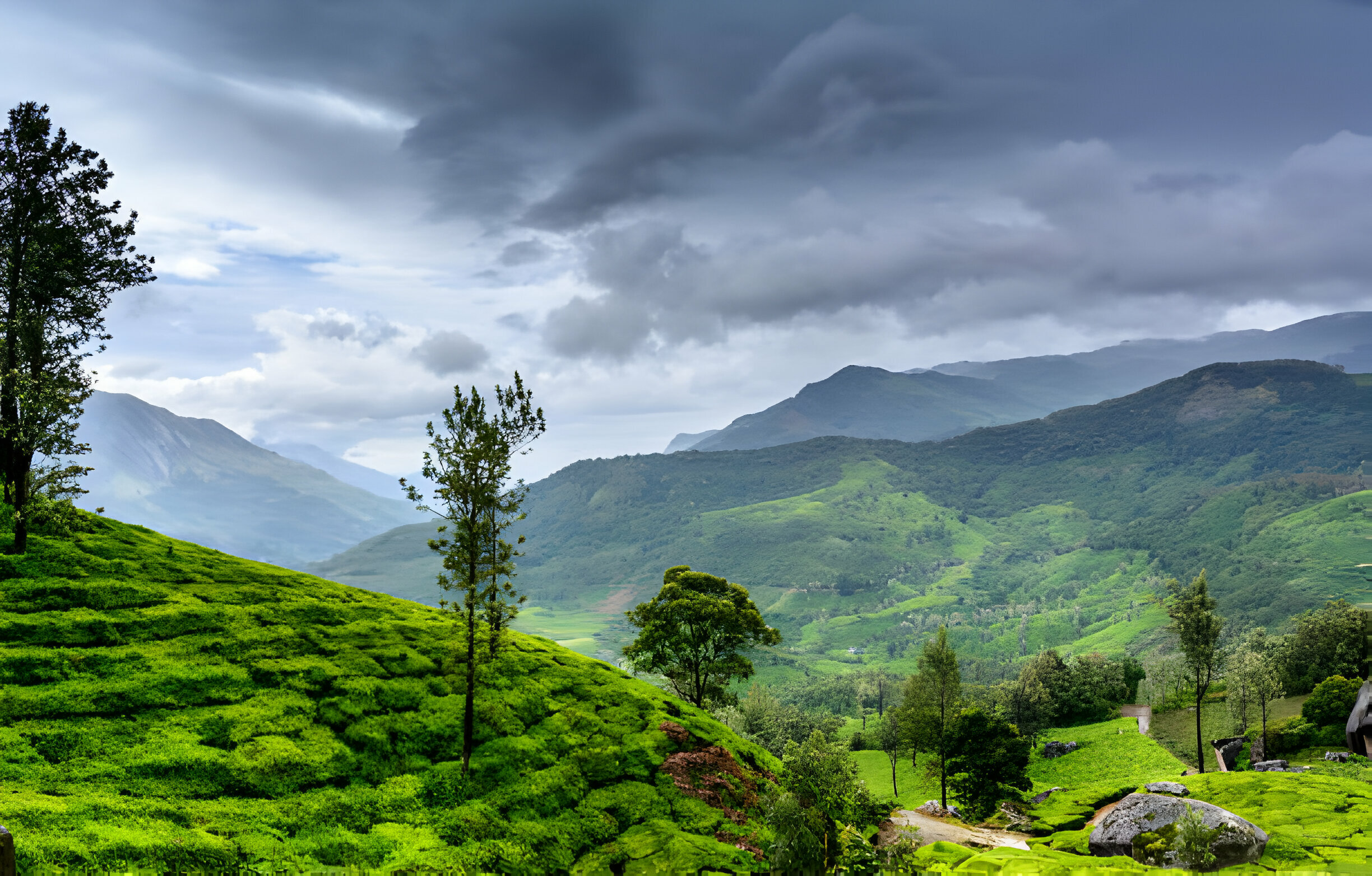 tourist places of wayanad