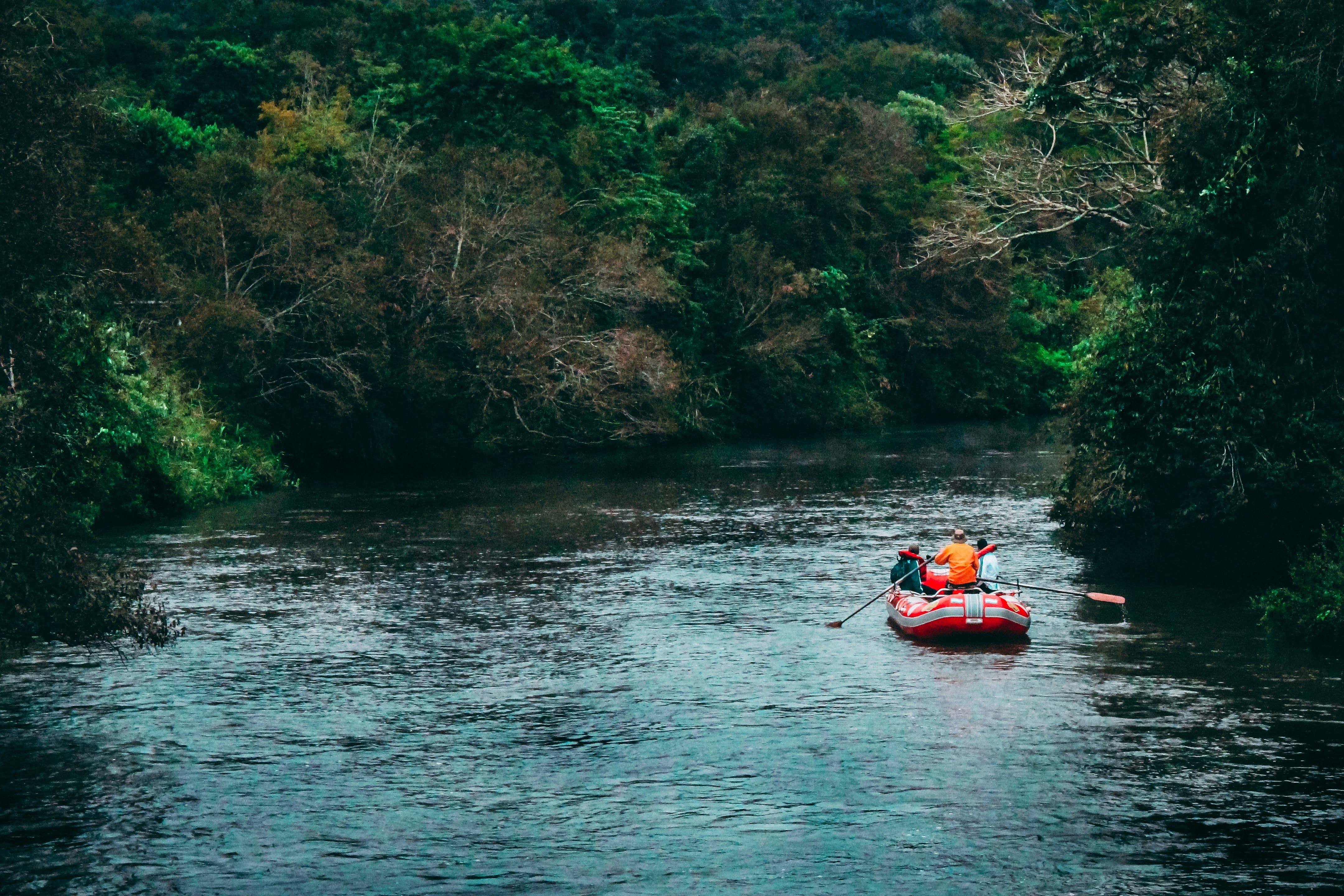 River Rafting in Kerala: A Guide To Planning This Water Adventure
