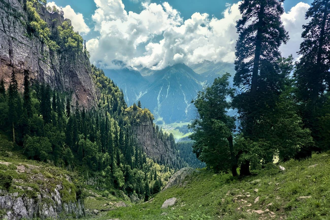 Discover Aru Valley: Your Complete Guide to Kashmir’s Paradise