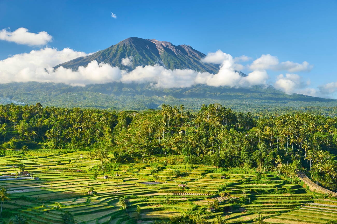 Summer in Bali: Embrace the Tropical Paradise