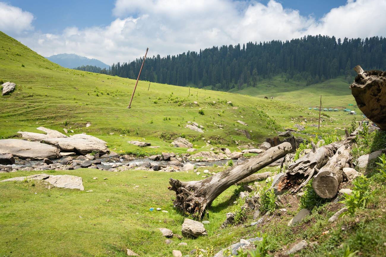 Kishtwar National Park in Kashmir: The Complete Guide For 2024