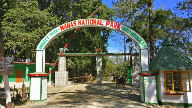 Royal Manas National Park: Attractions, Entry Fee, and Timings