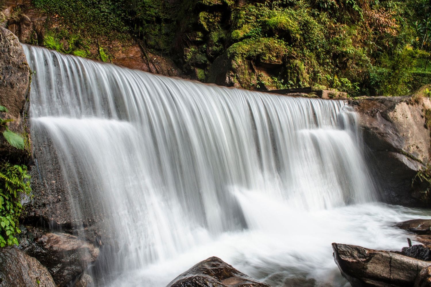 Banjhakri Falls and Energy Park in Gangtok: Best Travel Guide