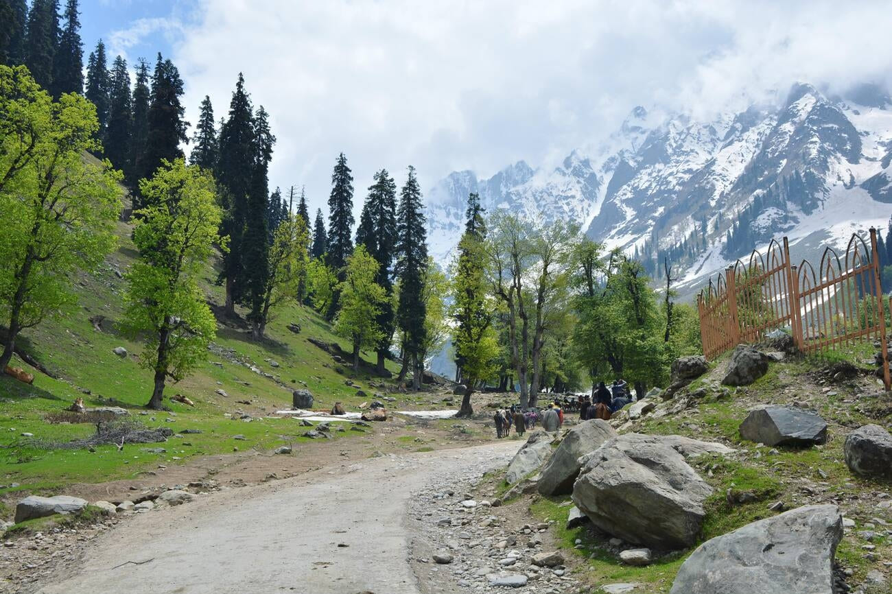 Top 25 Places to Visit in Gulmarg | Ultimate Guide for Best Trip