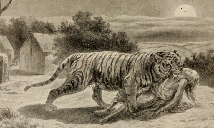 Champawat Tiger : The Story of the Deadliest Tiger in History